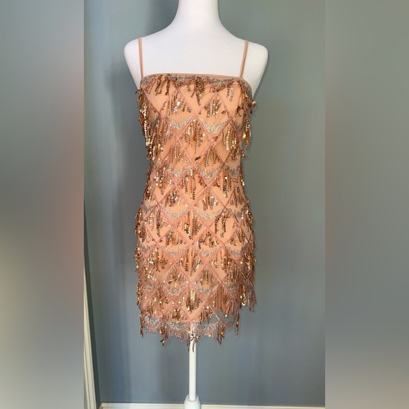 Champagne fringe hoco dress - Picture 1 of 1